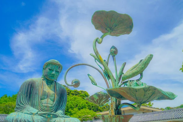 Раннее Лето Великого Будды Камакуры Который Завернут Свежую Зелень — стоковое фото