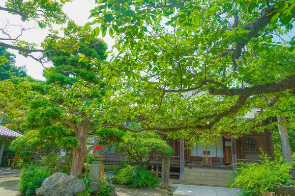 Imagen Verde Fresca Kamakura Gokurakuji — Foto de Stock