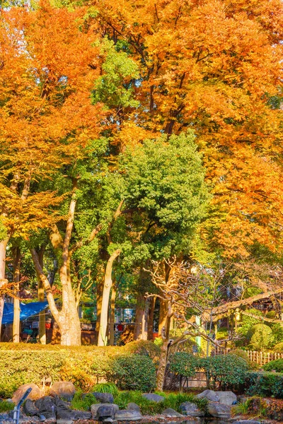 秋叶和东芝公园的人 — 图库照片
