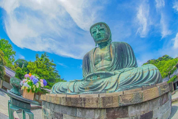 Раннее Лето Великого Будды Камакуры Который Завернут Свежую Зелень — стоковое фото