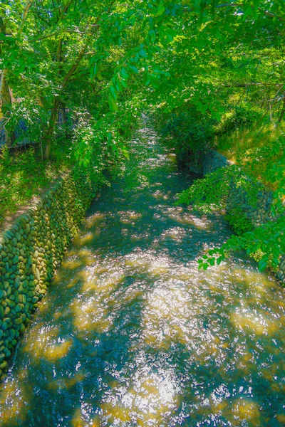 Tamagawa Envuelto Verde Fresco — Foto de Stock