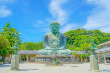 Kamakura 'nın Büyük Buda' sının ilk yazları, taze yeşile sarılmış.