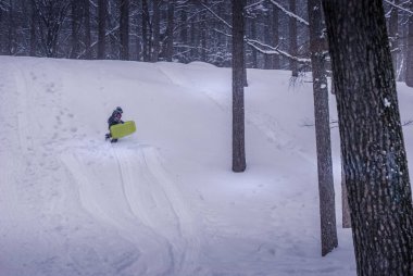 Kar ormanlarında oynayan çocuklar