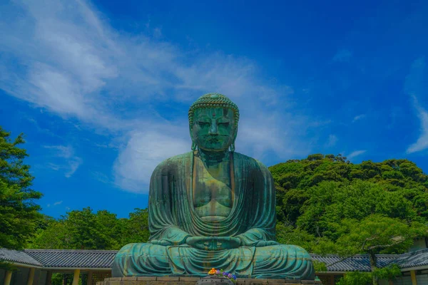 Frühsommer Des Großen Buddha Von Kamakura Der Frisches Grün Gehüllt — Stockfoto