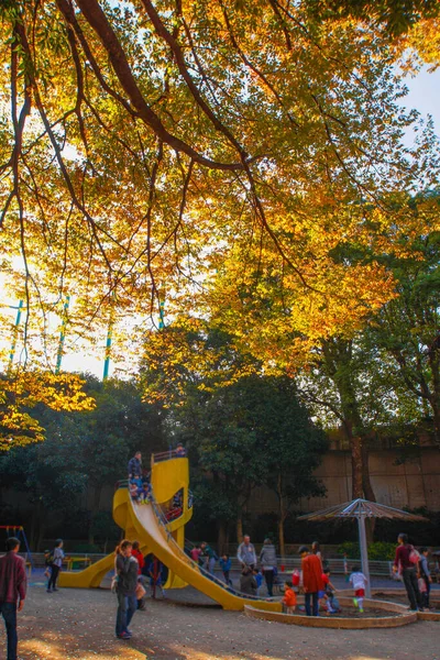 Hojas Otoño Gente Del Parque Togoshi — Foto de Stock