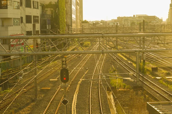 Atardecer Iluminado Línea Central Línea — Foto de Stock