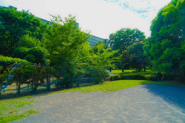 秋島つつじヶ丘公園の新緑 — ストック写真
