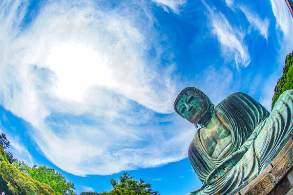 Wczesne Lato Wielkiego Buddy Kamakury Który Był Zawinięty Świeżą Zieleń — Zdjęcie stockowe