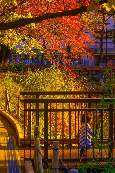 Herbstblätter Und Menschen Togoshi Park — Stockfoto