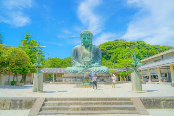 Início Verão Grande Buda Kamakura Que Foi Envolto Verde Fresco — Fotografia de Stock