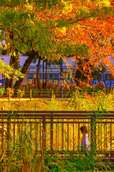 Feuilles Automne Les Gens Parc Togoshi — Photo