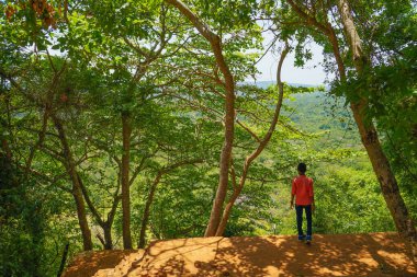 Arazinin zirvesinden Shigiriyarokku (Sri Lanka)
