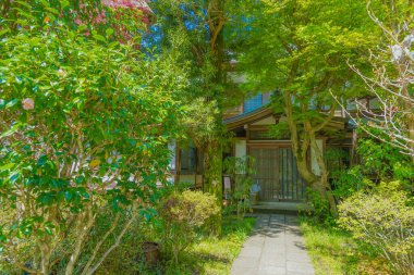 Kamakura-Enkakuji 'nin taze yeşili.