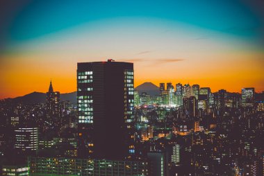 Şehir ve Fuji Dağı Bunkyo Şehir Merkezi 'nden görülebiliyor.