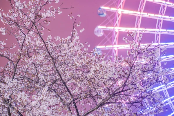 Sakura Orologio Cosmo Minato Mirai Yokohama — Foto Stock