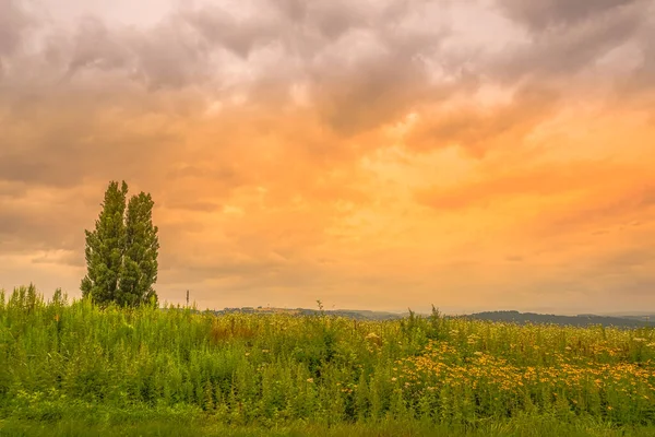 Ken Und Maria Von Bäumen Und Sonnenuntergang Hokkaido Biei Cho — Stockfoto