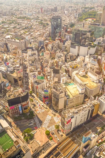 Shibuya Scramble Intersection 取自Shibuya Sky — 图库照片