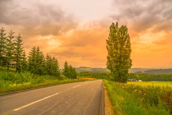 Ken María Los Árboles Puesta Del Sol Hokkaido Biei Cho — Foto de Stock