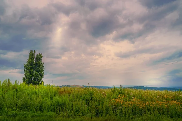 Ken Maria Árvores Pôr Sol Hokkaido Biei Cho — Fotografia de Stock