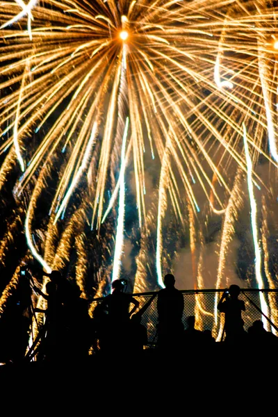 Fogos Artifício Muita Gente Silhueta — Fotografia de Stock