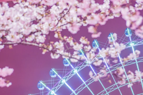 Sakura Orologio Cosmo Minato Mirai Yokohama — Foto Stock