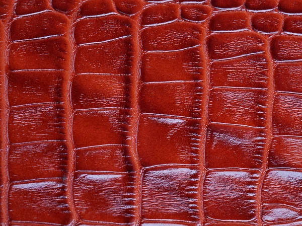 赤いワニの皮の質感 — ストック写真