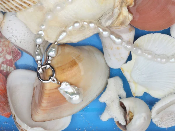 Collier Perles Baroque Blanc Avec Pendentif Sur Fond Coquille Marine — Photo