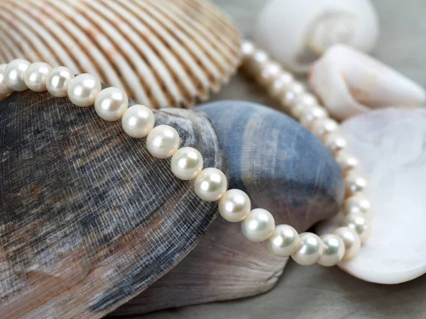 Collier Perles Blanches Sur Fond Coquille Marine — Photo