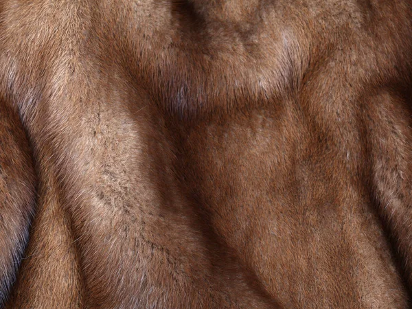 褐色のミンクの毛皮の質感の背景 撃たれた — ストック写真