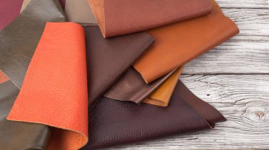 Farklı renkler. Açık ahşap arka planda doğal deri dokusu örnekleri.