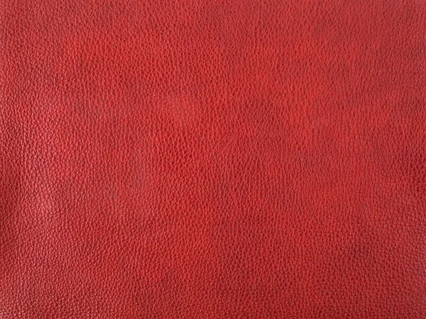 Fondo Textura Cuero Ganado Rojo Genuino Macro Foto — Foto de Stock