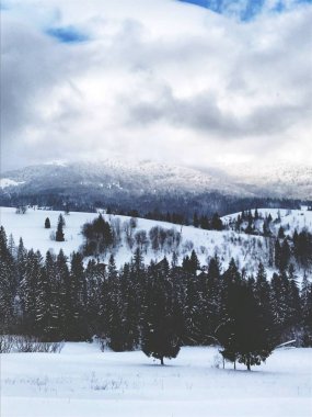 Karlı Karpatlar kışın