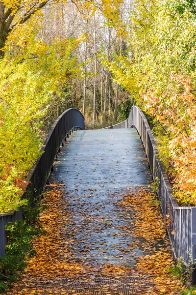 Pequeño Puente Parque Cubierto Hojas Otoño — Foto de Stock