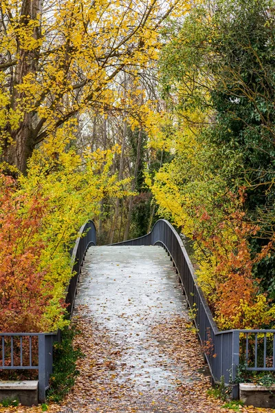 Little Bridge Park Covered Leaves Autumn — Stock Photo, Image