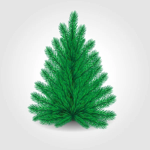 现实的绿色圣诞节树插图与白色背景矢量 圣诞节常青植物 — 图库矢量图片