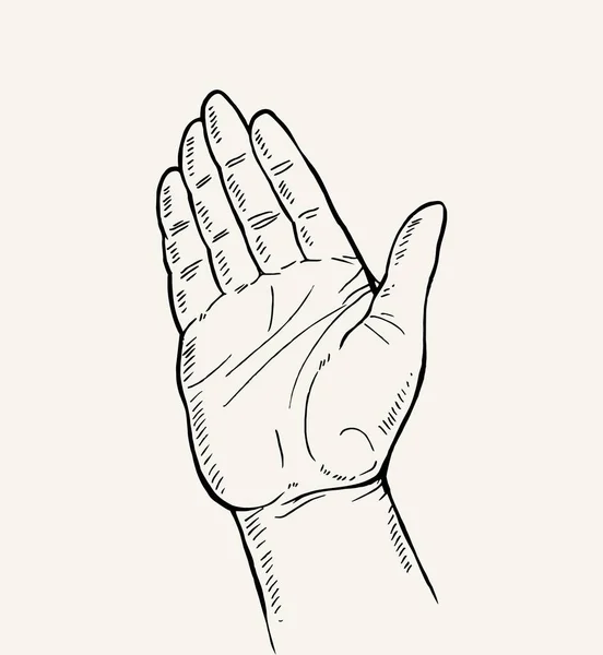Ręcznie Rysowane Szkic Gest Ręki Otwieranie Palm Dłoń Ruch Ręka — Wektor stockowy
