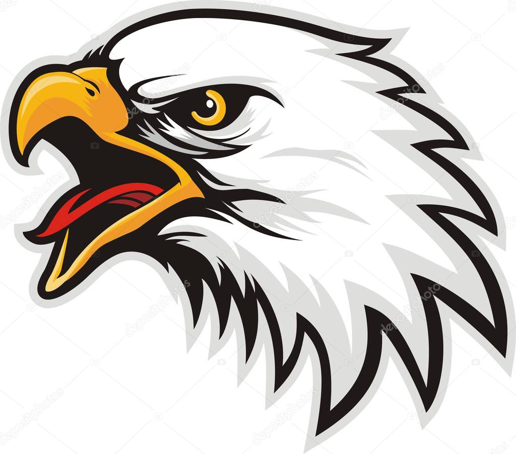 Eagle head logo for t-shirt, Hawk mascot Sport wear typography emblem graphic, athletic apparel stamp