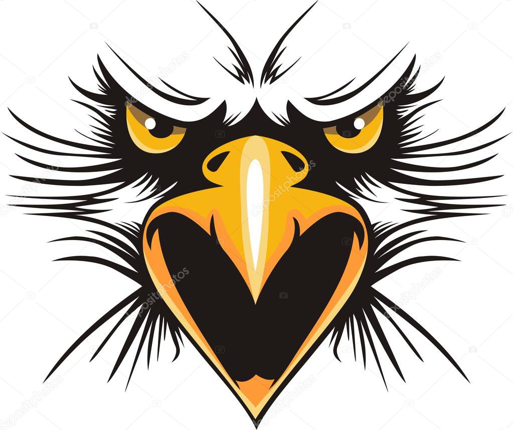 Eagle head logo for t-shirt, Hawk mascot Sport wear typography emblem graphic, athletic apparel stamp