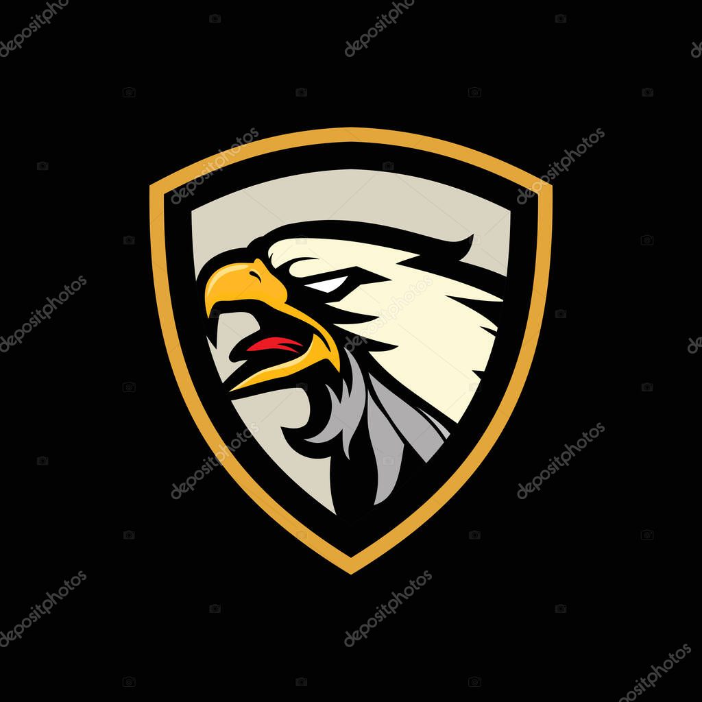 Hand drawn of Eagle head , Eagle mascot for t-shirt , Sport wear ,logo, emblem graphic, athletic apparel stamp.