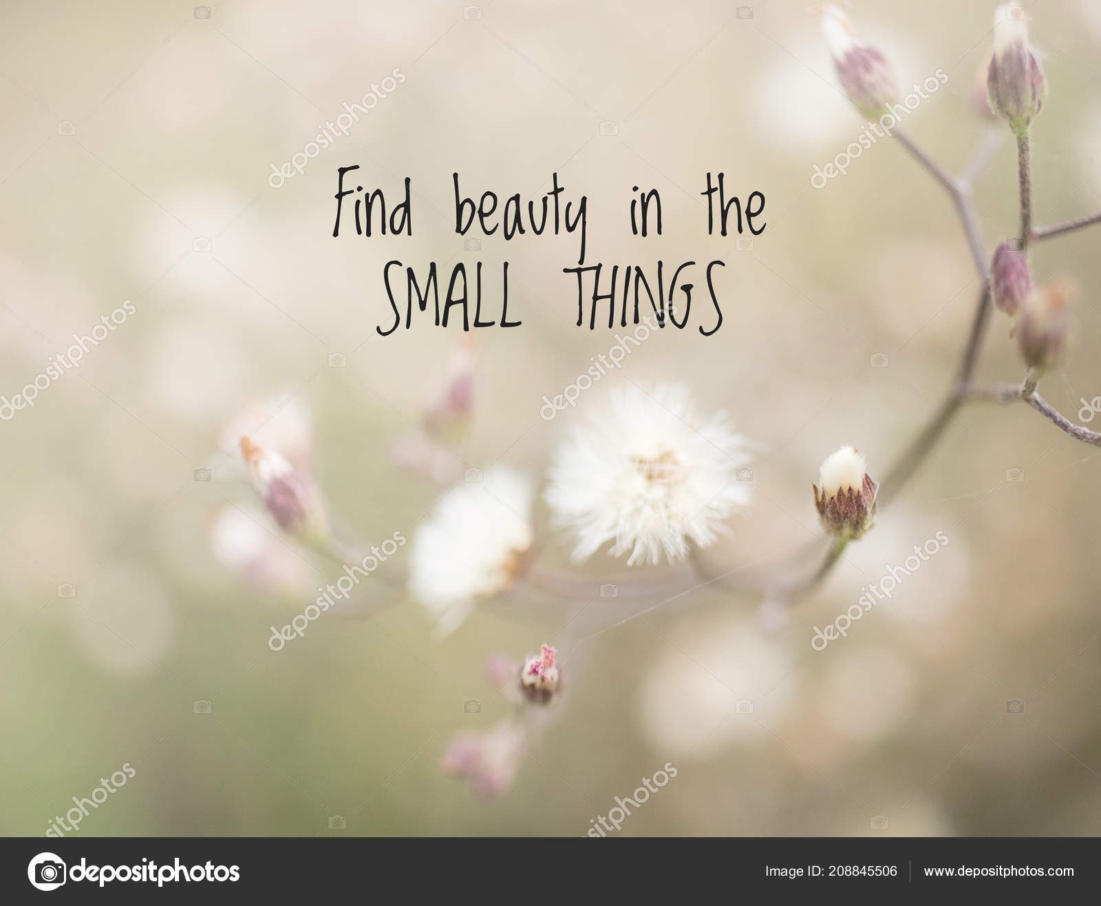 Citation Inspirational Motivation Sur Fond Fleur Herbe Floue