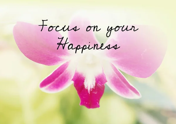 Inspiráló Idézet Összpontosítani Boldogság Orchidea Virágot Háttér — Stock Fotó