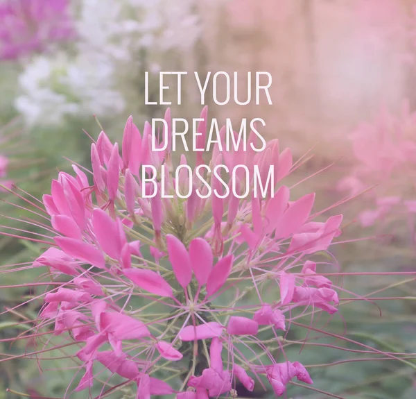 Inspirational Motivation Quote Blurred Flower Background — Stock Photo, Image