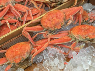  Büyük ve taze Kızıl Kral yengecinin resmi.