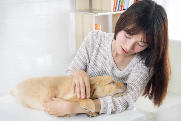 Slapende puppy van golden retriever bij dierenarts — Stockfoto