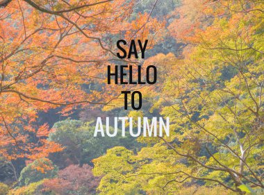 Sonbaharda ilham verici ve motivasyon arka plan backgro bırakır