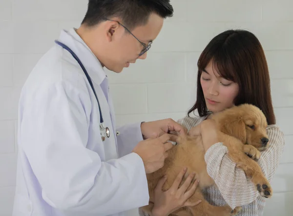 Golden retriever cão e proprietário veterinário clínica — Fotografia de Stock