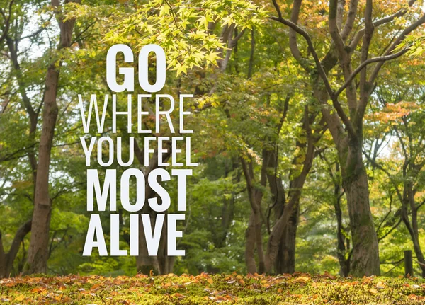 Inspirerande och motivation citat på autum Forest bakgrund — Stockfoto