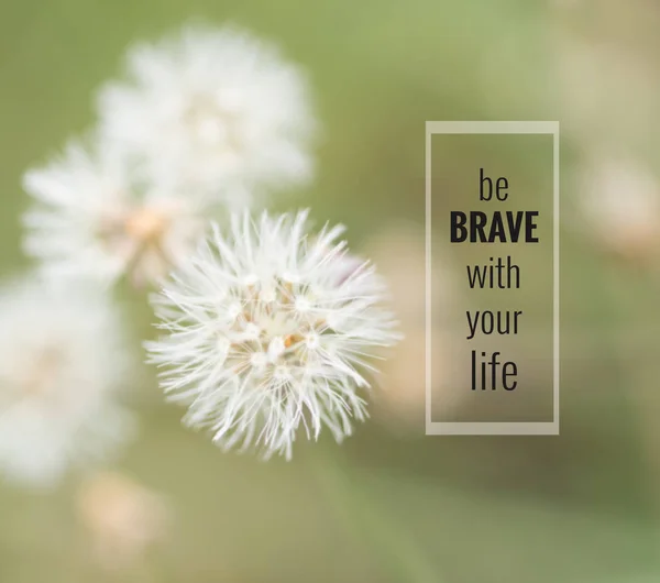 ぼやけた草の花の背景にインスピレーション引用符 — ストック写真
