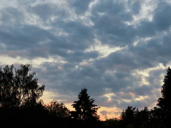 Хмари та силуети дерев — стокове фото