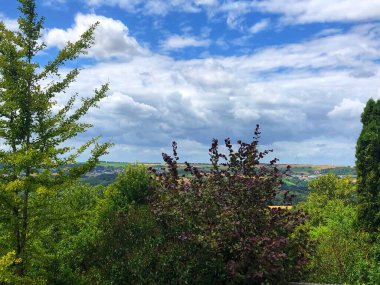 Güzel yaz manzarası 